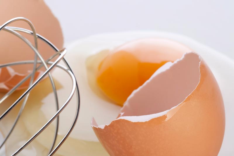 conservação de ovos